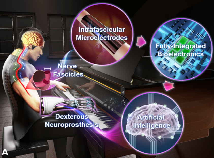 开发板还能这么用？用Jetson Nano支持便携式AI假肢