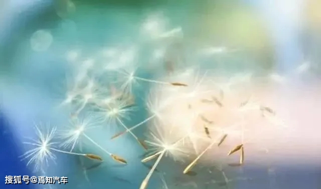 点击进入看图评论