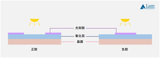 image.png?imageView2/2/w/550