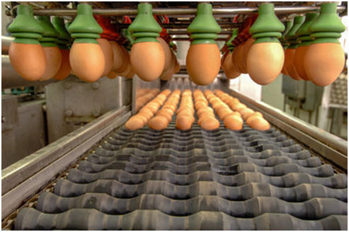 1628733906529892.png?imageView2/2/w/550 image.png?imageView2/2/w/550