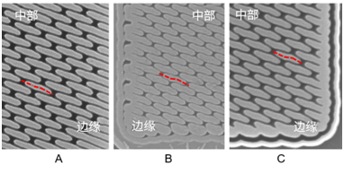 1629942707840756.png?imageView2/2/w/550 image.png?imageView2/2/w/550