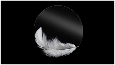 1631769167312535.png?imageView2/2/w/550 image.png?imageView2/2/w/550