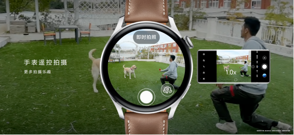 1632448869613731.png?imageView2/2/w/550 image.png?imageView2/2/w/550