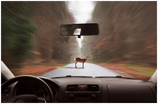 1632453606731255.png image.png