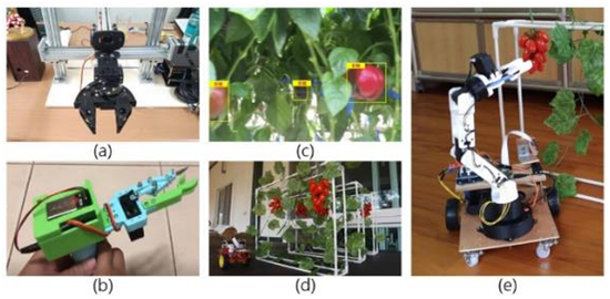 1635911934560044.png?imageView2/2/w/550 image.png?imageView2/2/w/550