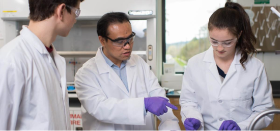 电池,燃料电池,催化剂,直接乙醇燃料电池,催化材料,钯合金催化剂,钯基催化剂 电池,燃料电池,催化剂,直接乙醇燃料电池,催化材料,钯合金催化剂,钯基催化剂