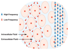 image.png?imageView2/2/w/1000