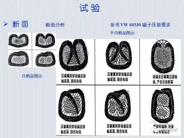 c1ded122-48ce-11ee-97a6-92fbcf53809c.jpg?imageView2/2/w/1000