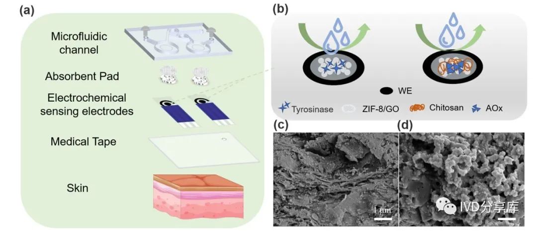 1a11ae7a-b0e7-11ee-8b88-92fbcf53809c.jpg?imageView2/2/w/1000