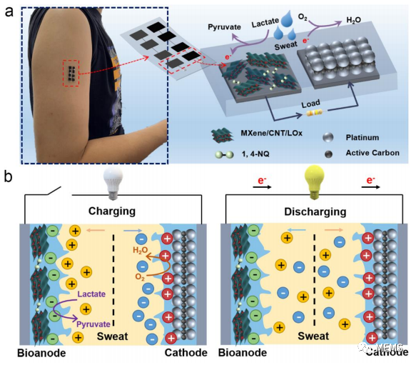 d8509184-6b74-11ee-939d-92fbcf53809c.png?imageView2/2/w/1000