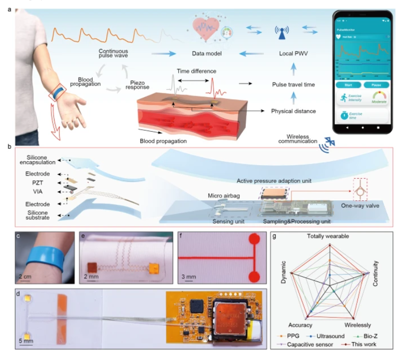 730f747c-4151-11ee-a2ef-92fbcf53809c.png?imageView2/2/w/1000