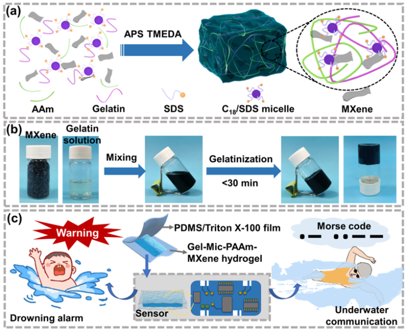 9eb48bf8-3abc-11ee-9e74-dac502259ad0.png?imageView2/2/w/1000