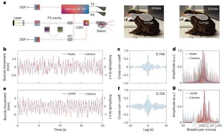 2fb9856a-32e1-11ee-9e74-dac502259ad0.jpg?imageView2/2/w/550