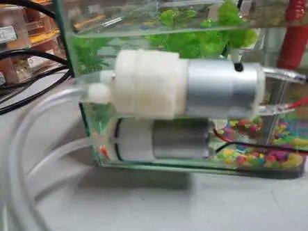 4e04a7e6-035a-11ed-9ade-dac502259ad0.jpg?imageView2/2/w/1000