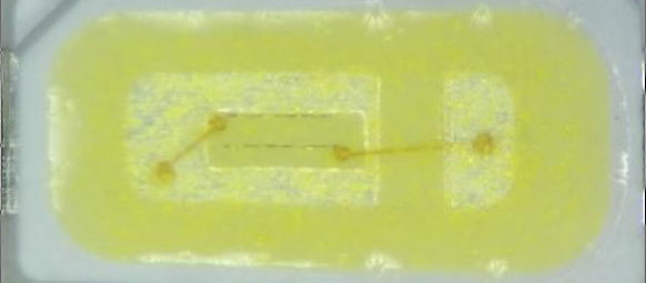 image.png?imageView2/2/w/1000