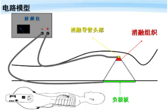 1723530179854476.png?imageView2/2/w/550 image.png?imageView2/2/w/550