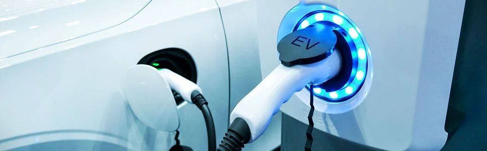 1729776183847102.jpg?imageView2/2/w/1000