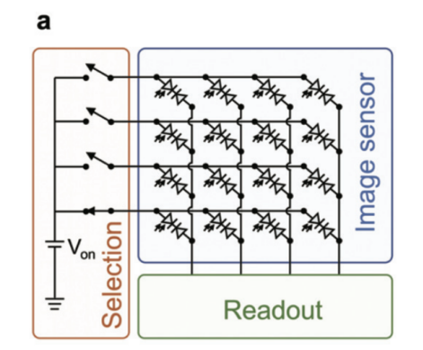 image.png?imageView2/2/w/1000