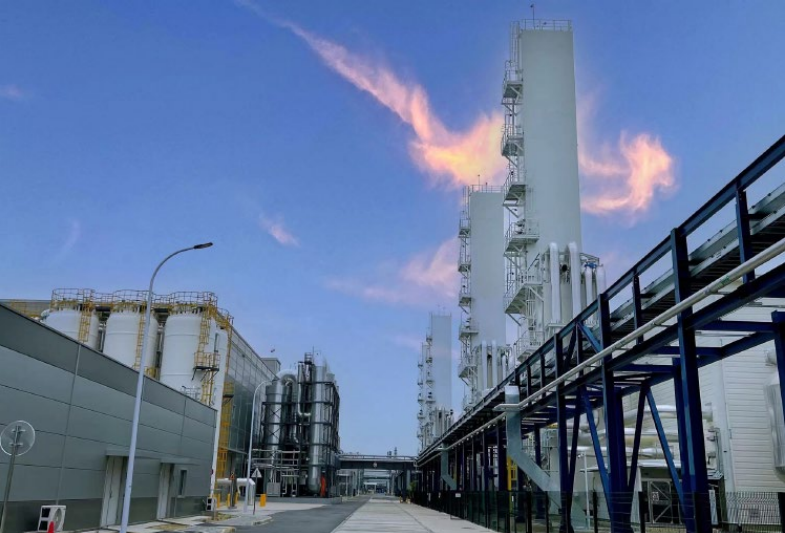 image.png?imageView2/2/w/550