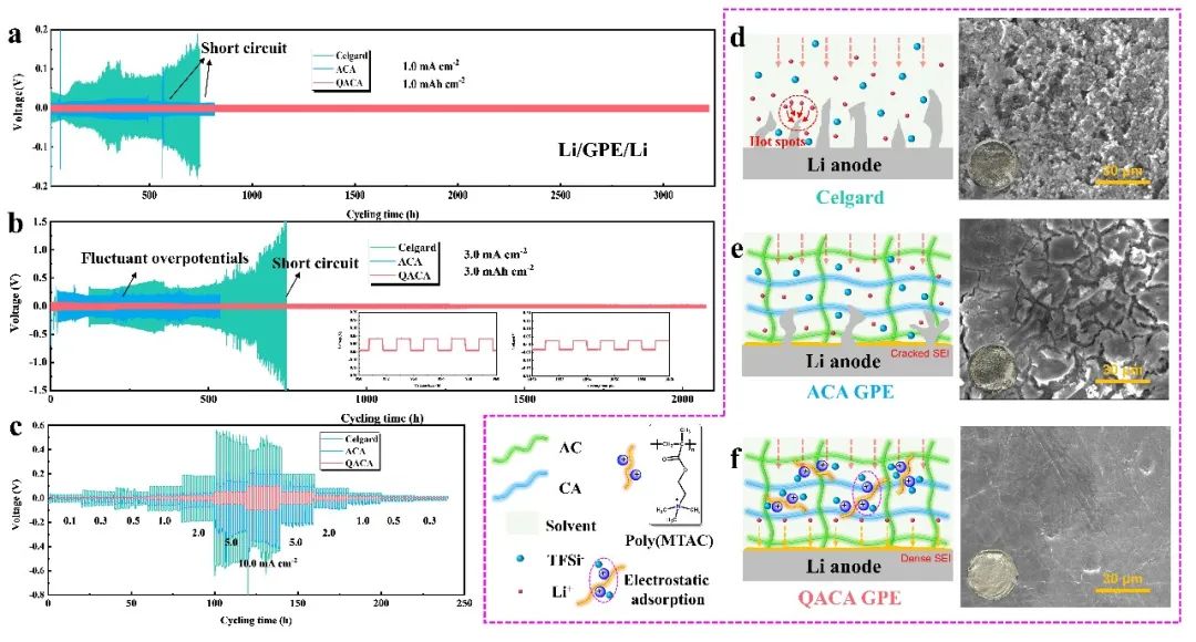 4c17f3f8-d8d8-11ed-bfe3-dac502259ad0.jpg?imageView2/2/w/1000