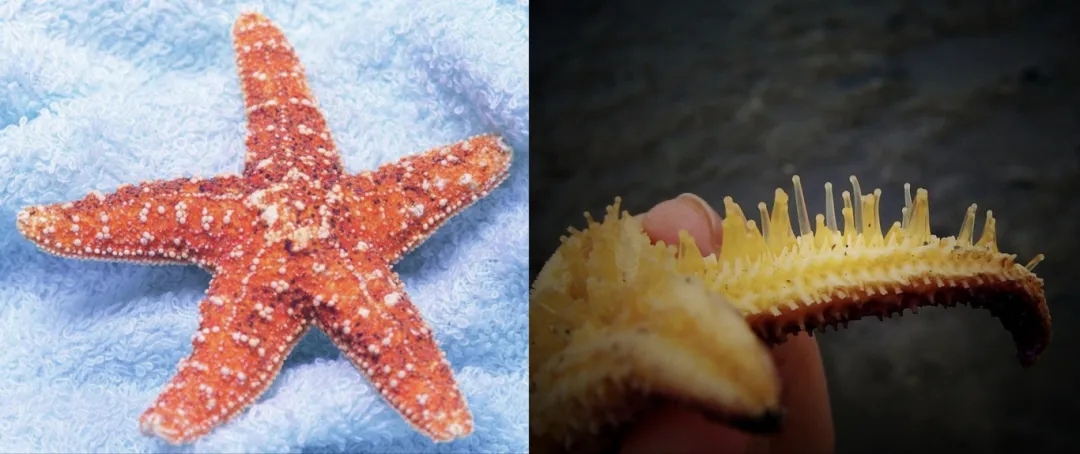 微信图片_20250220110656.jpg?imageView2/2/w/1000