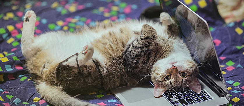 1587374543866868.png?imageView2/2/w/550 image.png?imageView2/2/w/550