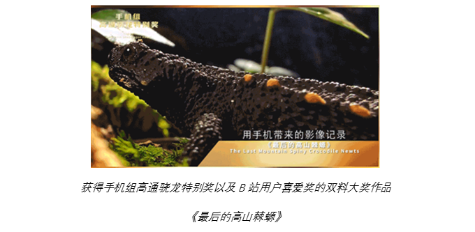 image.png?imageView2/2/w/550