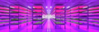 1747650368960837.png image.png